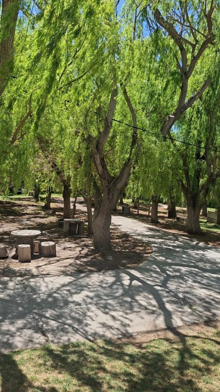 Arboleda del sector camping con mesas de tronco