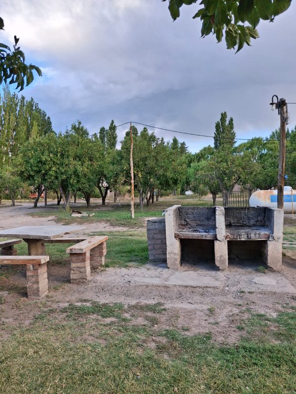 Parrilla y mesa de material bajo los árboles